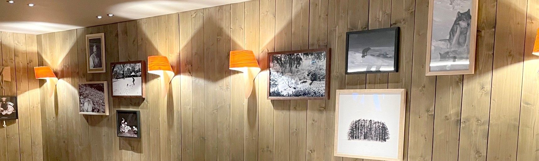 encadrement-sur-mesure_professionnel