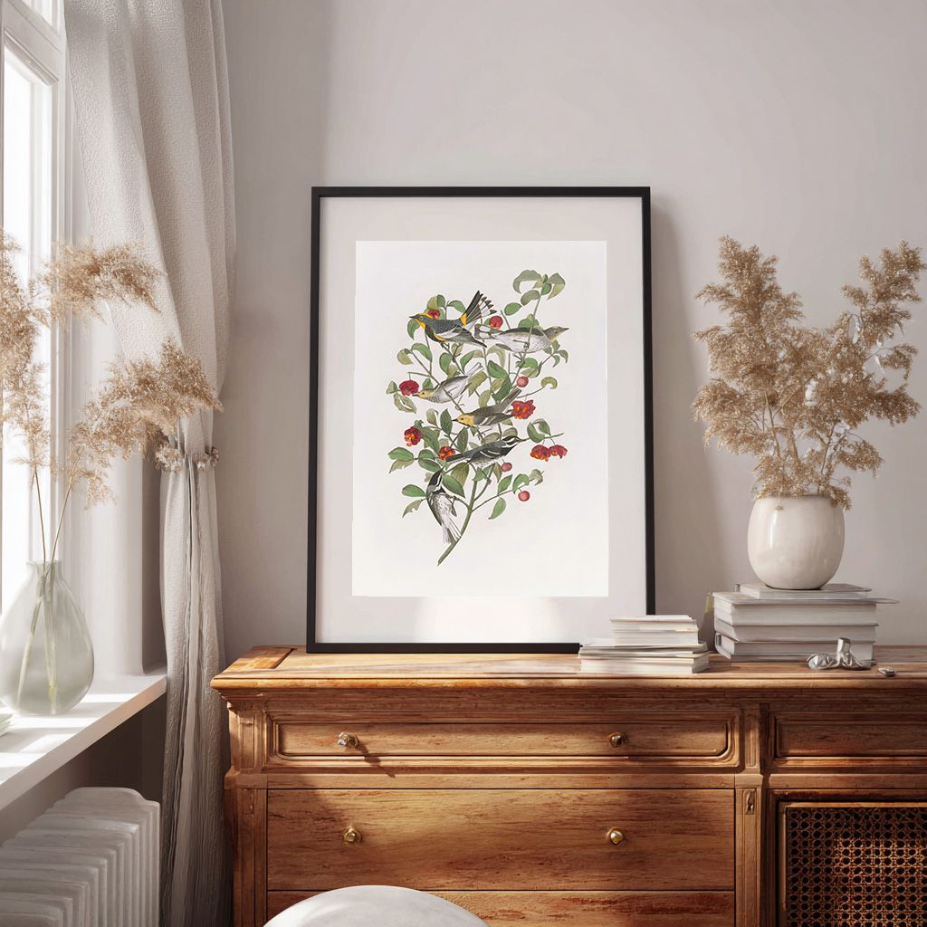 Botanical print of a plant with red berries and green leaves in a black frame.